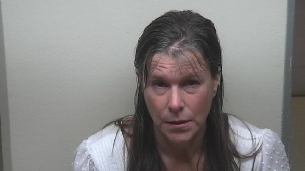 Daughter-in-law bludgeoned elderly woman to death, police say