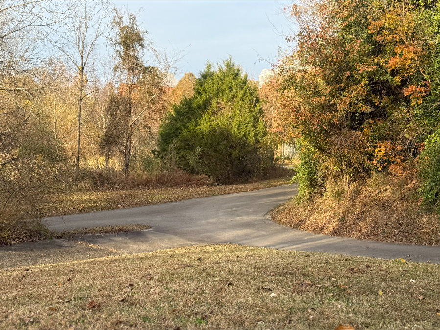 Students push for more security on NC State trails after man arrested on indecent exposure charges