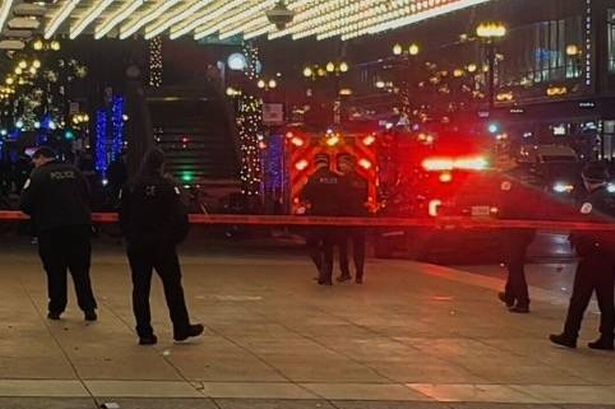 Chicago Christmas tree lighting horror as seven teens shot and cops attacked