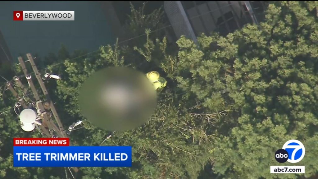 Tree trimmer killed after coming in contact with power lines in Beverlywood