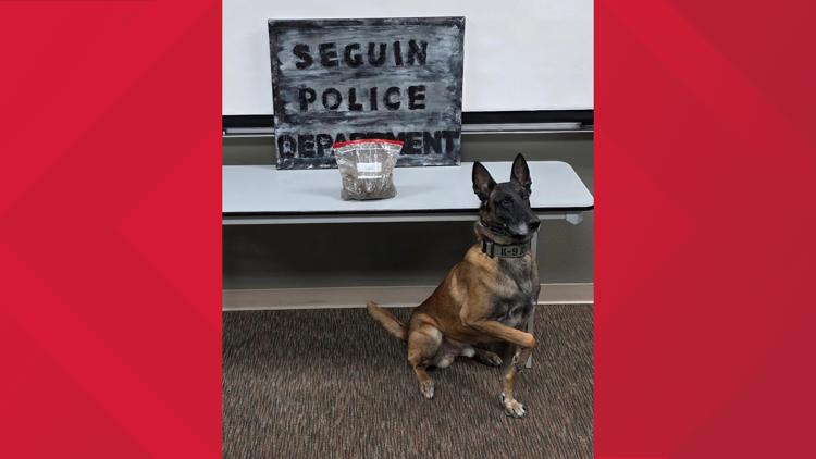 Police: Traffic stop in Seguin leads to discovery of $65,000 worth of black tar heroin; suspect facing multiple charges