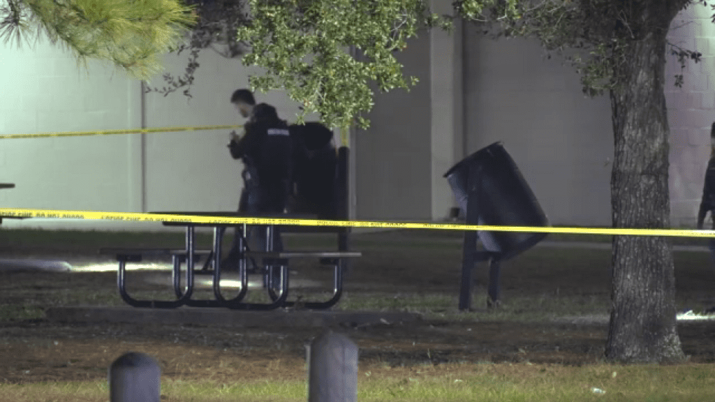 Park party turned deadly shooting leaves boy dead, girl injured in southeast Houston: HPD