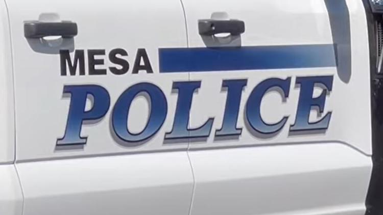 Driver who was stung by bees hits pedestrian, both hospitalized, police say