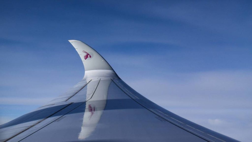 Airline cancels all domestic flights after one of its planes hit by gunfire