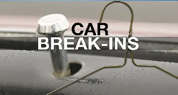 Holiday vehicle theft remains a present danger in Georgia