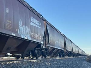 Man fatally struck by train in Las Cruces