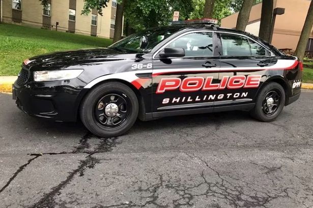 Pennsylvania man shot in back by his dog after it jumped on the bed causing it to fire