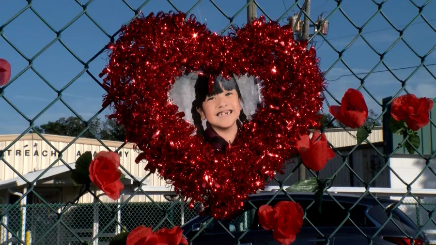 Father speaks after 6-year-old daughter killed, wife and son hit by driver in Tampa