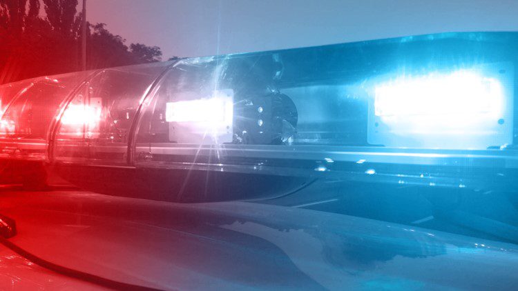 NYSP: Two brothers dead, another in custody following alleged physical altercation