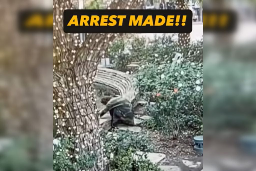 Santa Clarita Man Charged with Animal Cruelty after Allegedly Assaulting Turtle at Valencia Town Center