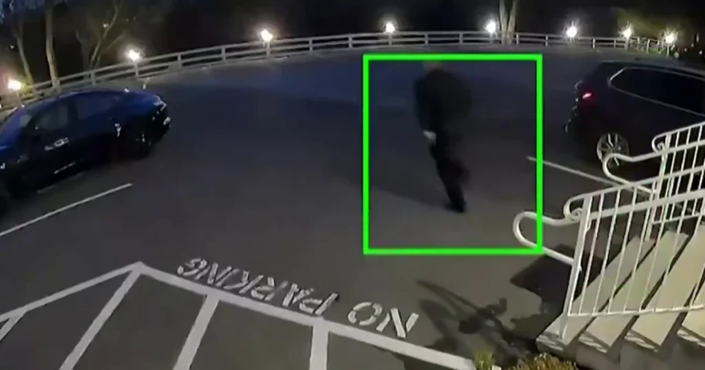 Manhunt underway after two people allegedly steal $40k in wine