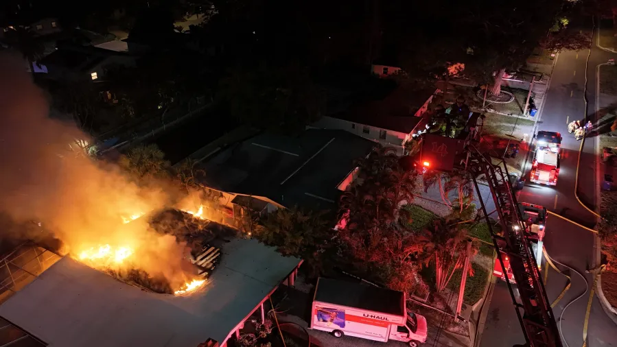 Dog dies after fire breaks out at South Tampa home