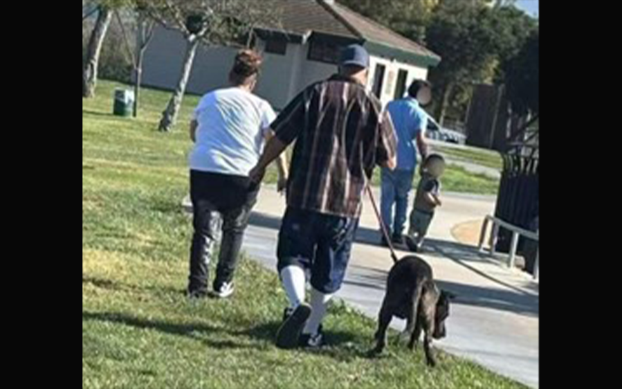 Dog attack in Fremont park leaves small dog dead, police search for suspect