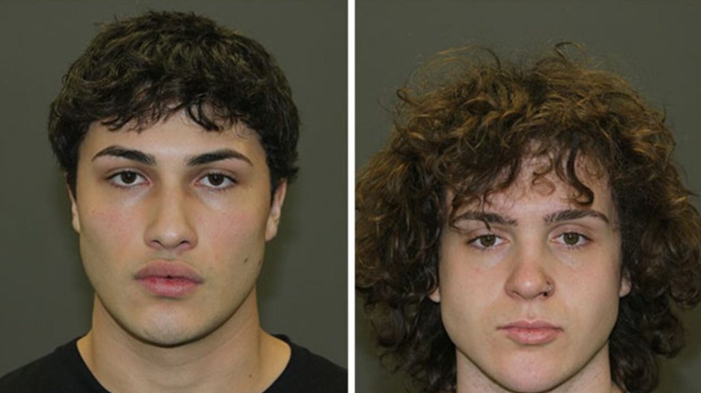 Pair charged with animal cruelty for killing pet rabbit plead guilty