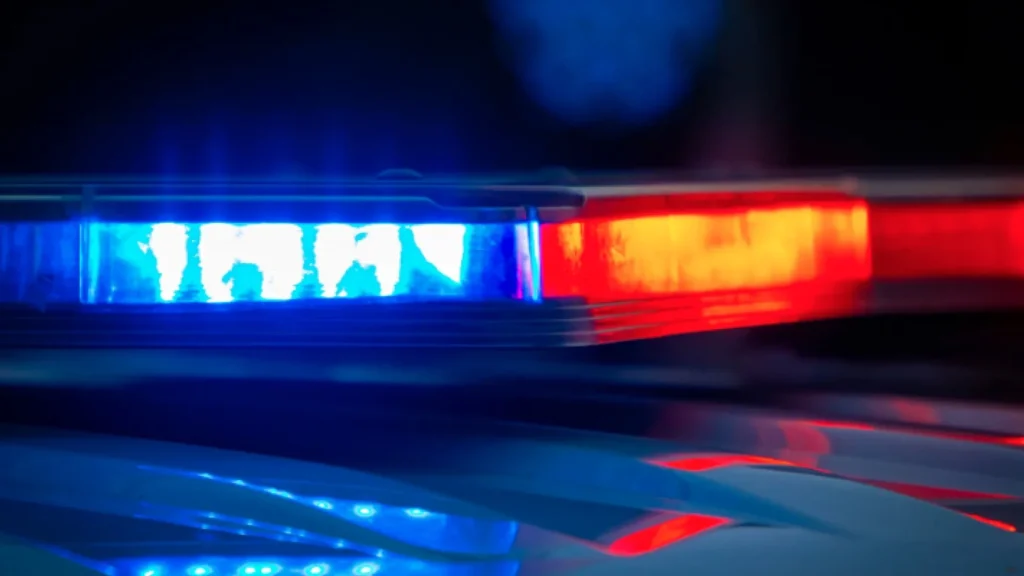 42-year-old woman charged after stabbing teen multiple times during argument at Southland Mall