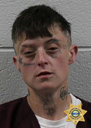 Woman arrested on stolen property, evasion, drug charges