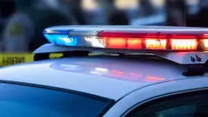 Storm-toppled tree kills driver on SR 410 near Enumclaw, troopers say