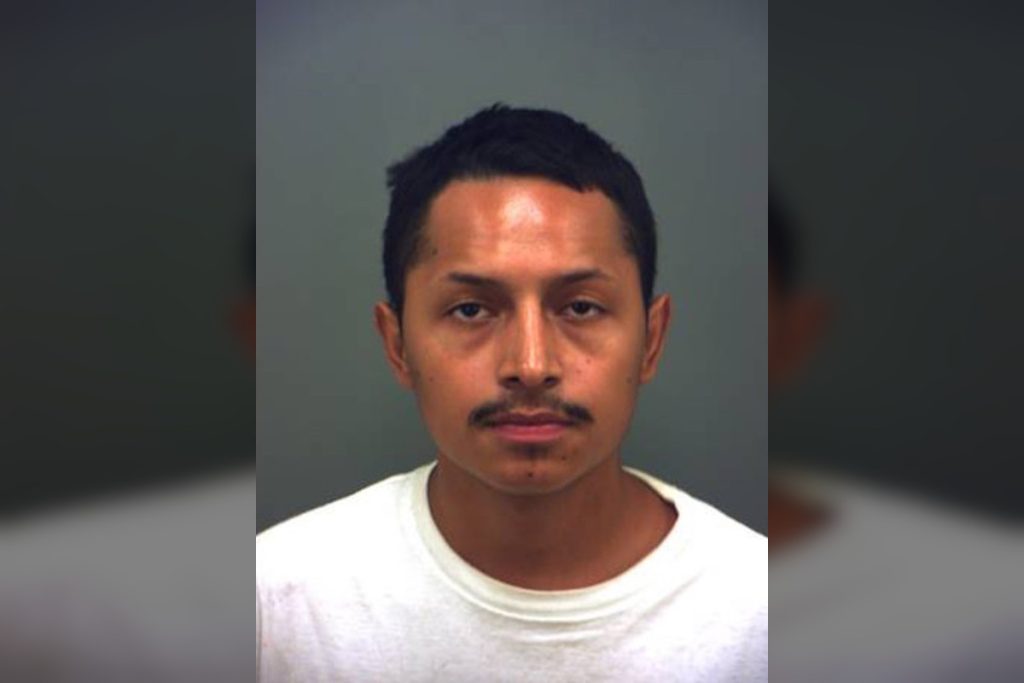 El Paso Cat Killing: Probation Deal Has Advocates Furious