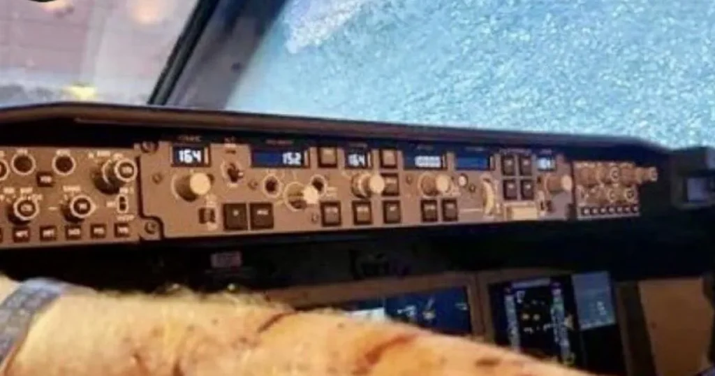 Mystery object that broke United Airlines plane windshield at 36,000ft revealed