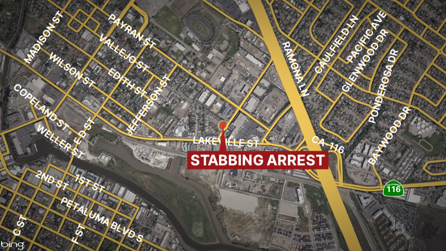 SF woman faces attempted murder charge after stabbing man in neck: Petaluma police