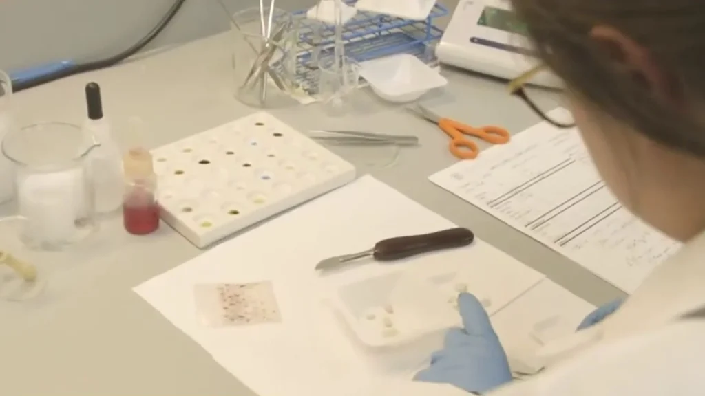 Record drug seizures causing backlog at Bexar County’s crime lab