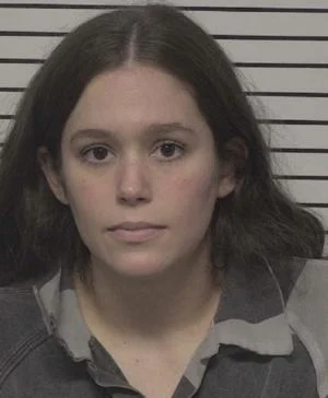 North Carolina teacher, teacher assistant charged with assault on disabled elementary students