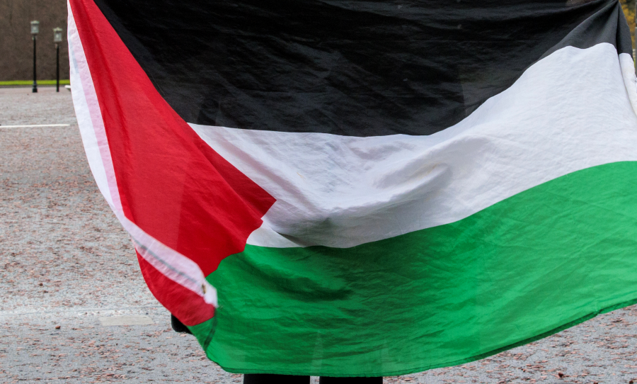 Sunnyvale man who cut flags from Highway 101 overpass arrested: SDPS