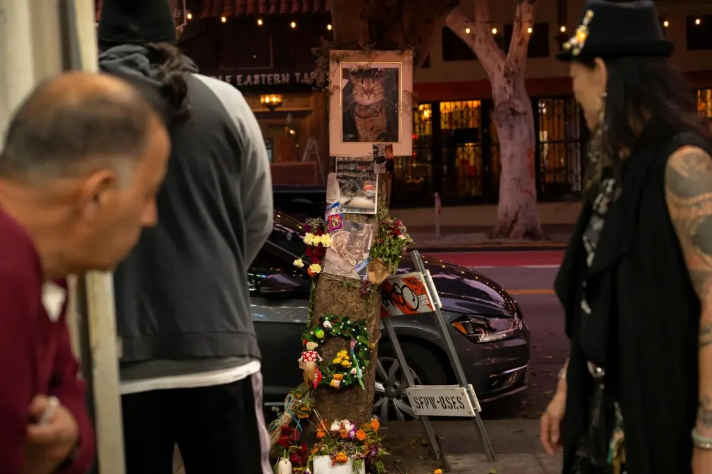 Cat’s death fuels anger against robot taxi Waymo