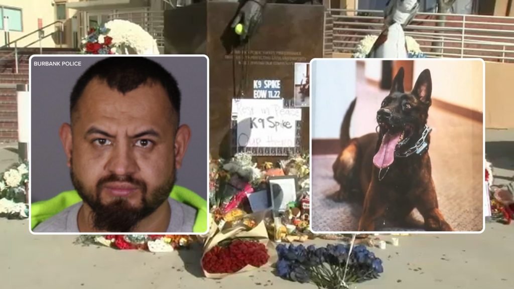 Man accused of killing Burbank K-9 was documented gang member, police say