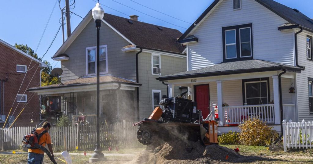 As city axes 29 trees along Goodhue Boulevard, neighbors ask: ‘Did they all have to go?’