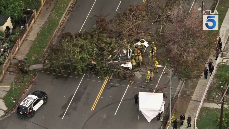 1 killed after large tree falls onto vehicles in Winnetka