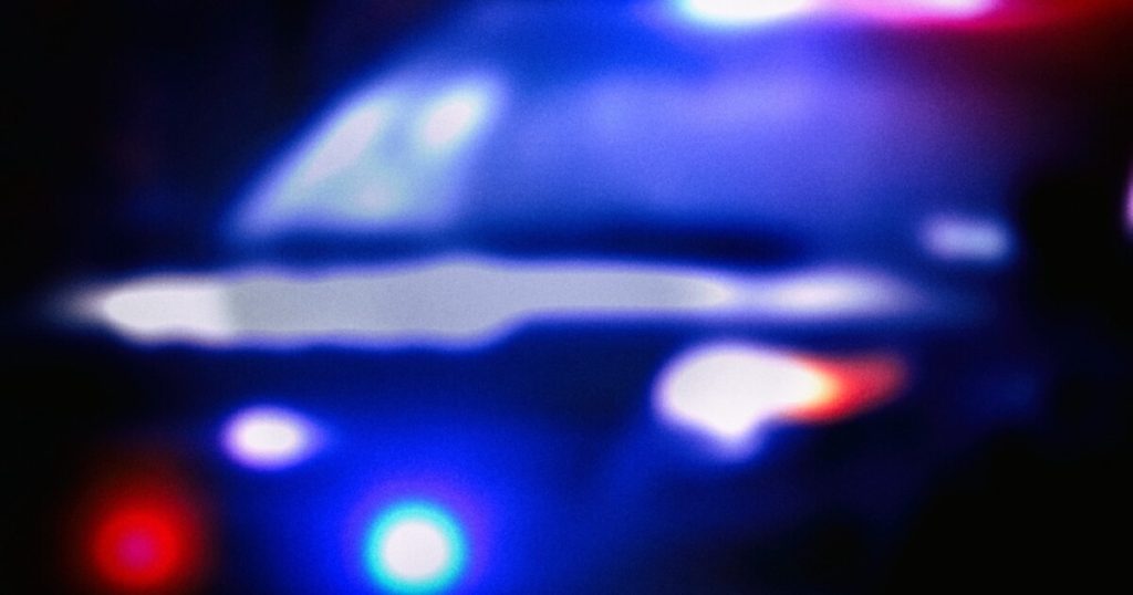 Pedestrian killed by driver suffering medical emergency due to bee stings