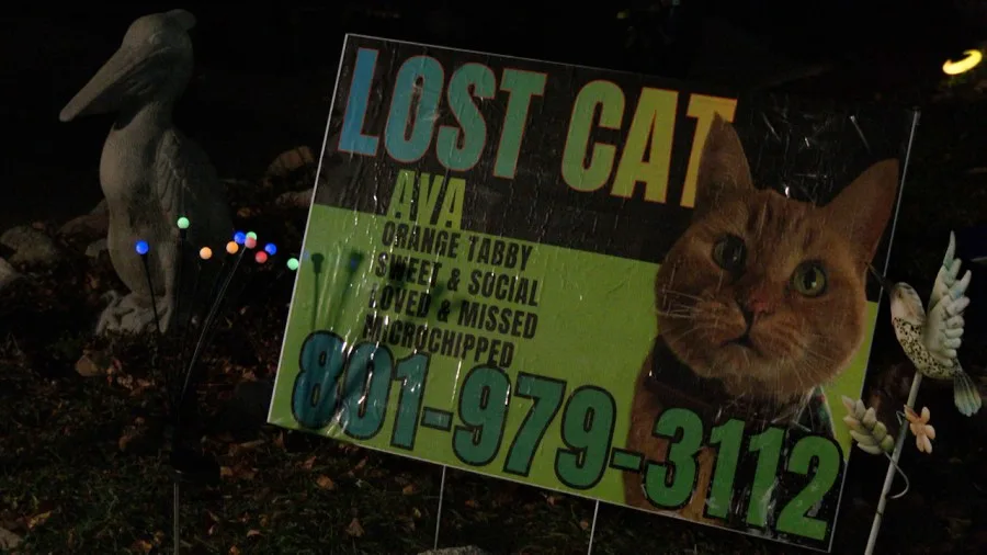 Pet scammer attempts scheme again in West Valley