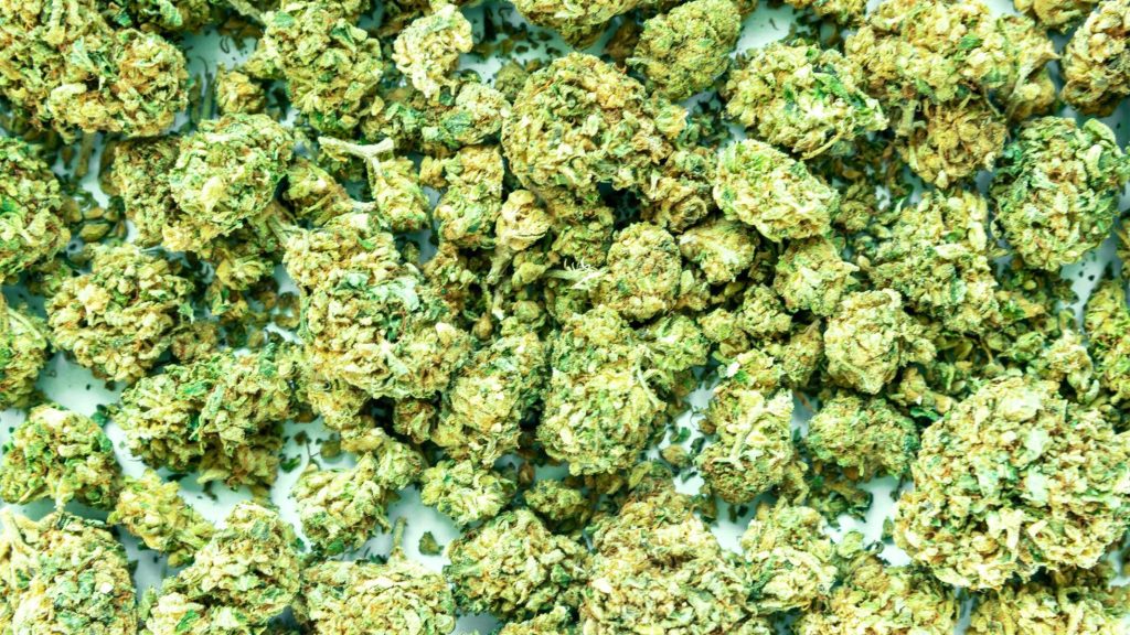 6 charged in takedown of a massive N.J. marijuana distribution operation