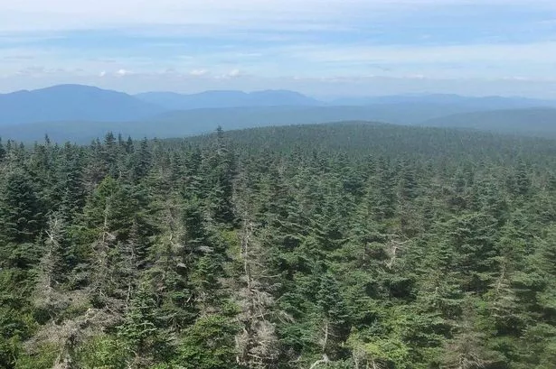 Five unexplained disappearances in abandoned town with man ‘vanishing into thin air’ on bus