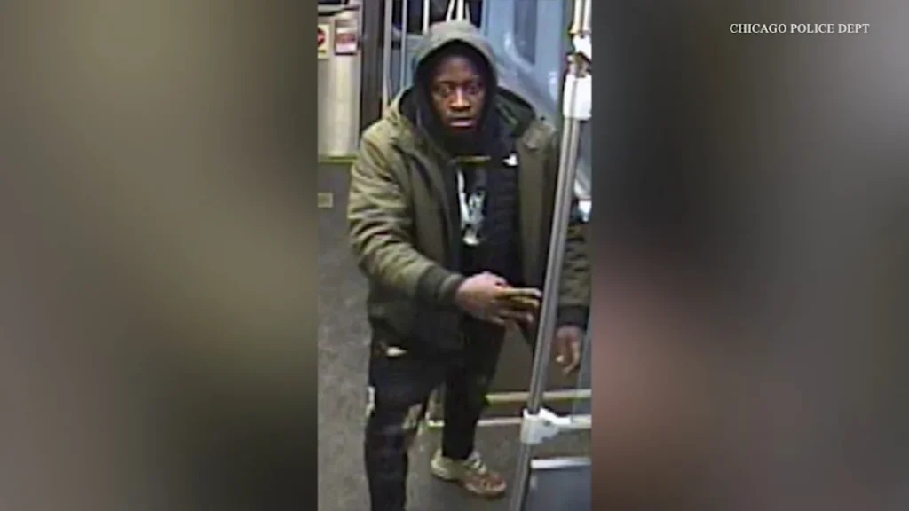 CPD searching for suspect who attacked, robbed 18-year-old woman on CTA Red Line