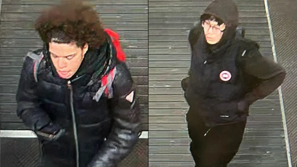 Mother, 11-year-old son attacked in Massachusetts mall parking lot