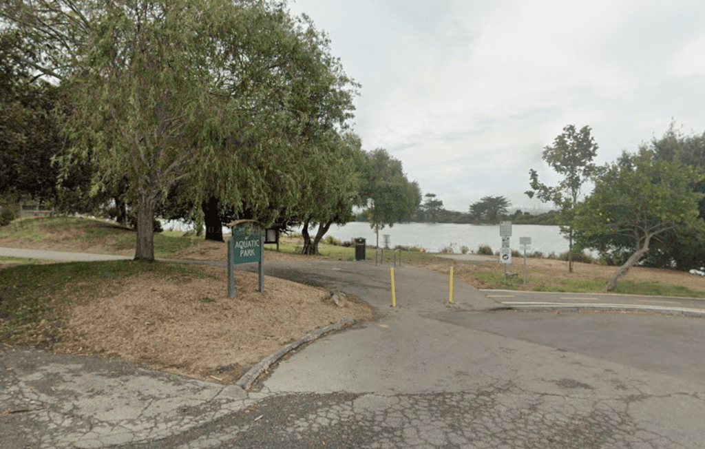 Berkeley Dad Shielding Toddler Pummeled At Dreamland Playground; Woman, 49, Charged