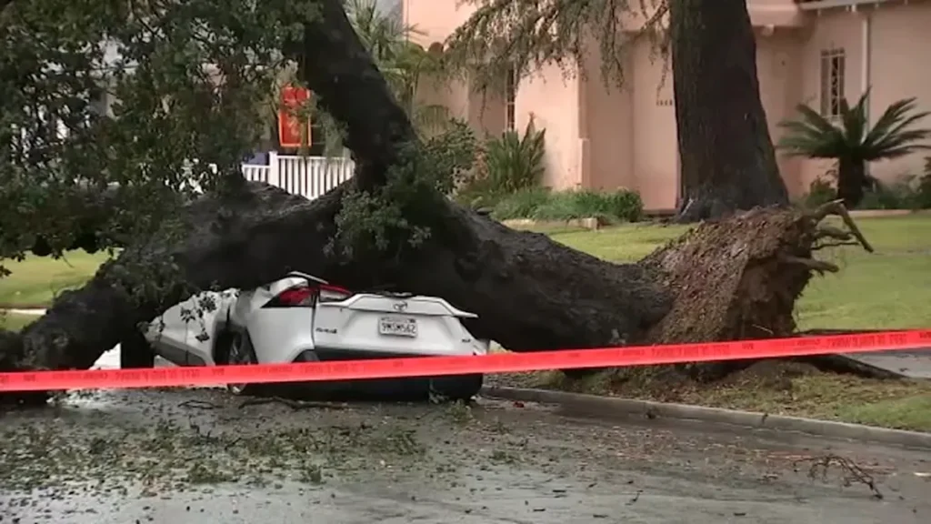 Tree smashes car in Altadena as Eaton Fire burn scar is hit with heavy downpour