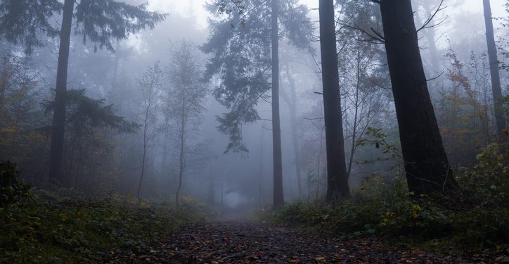 Wisconsin Woman Who Attacked Classmate for Slender Man Vanishes from Group Home