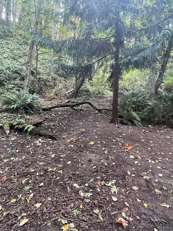 Resident shares photo after making upsetting discovery in beloved park: ‘This is horrible’