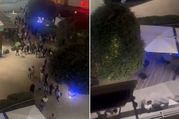 Black Friday shooting horror at Valley Fair Mall as terrified shoppers flee for lives