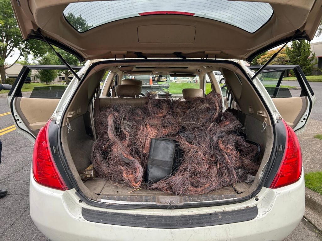 Portland police arrest alleged copper thieves amid a ‘sharp rise’ in wire theft