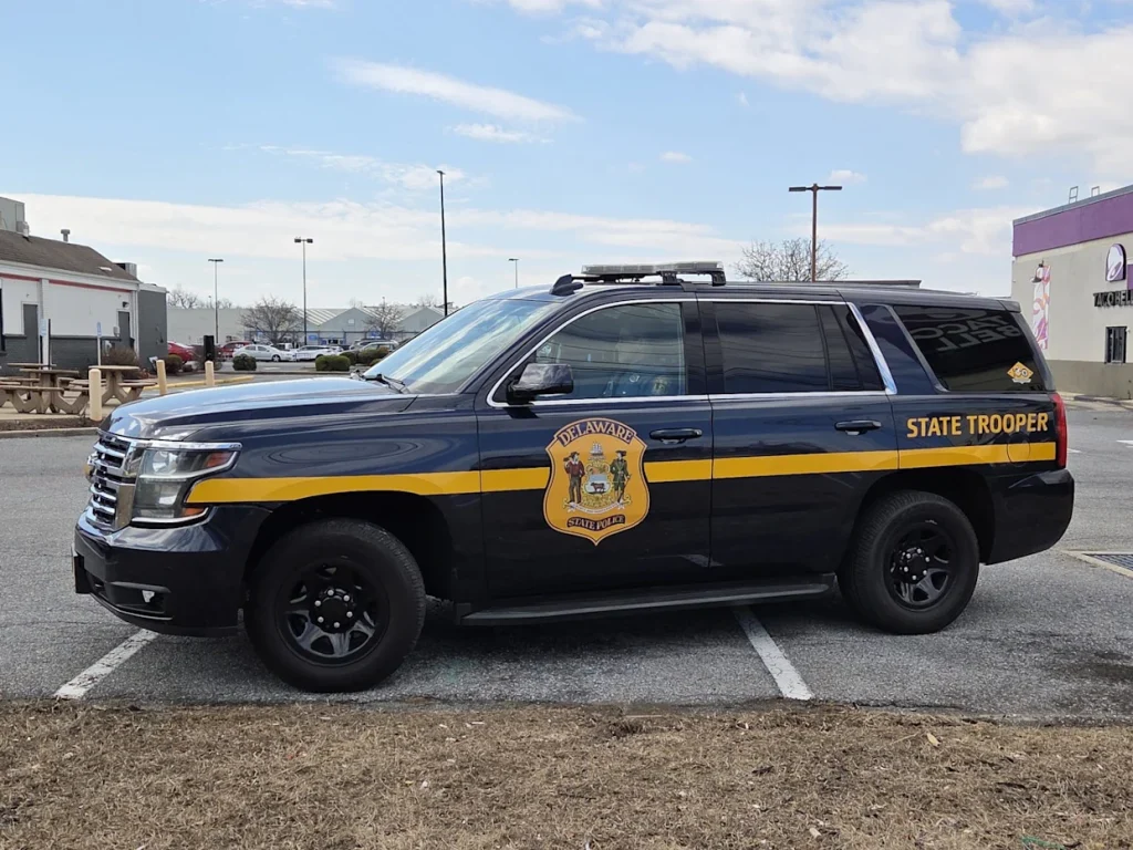 Georgetown man identified in fatal Delmar-area crash