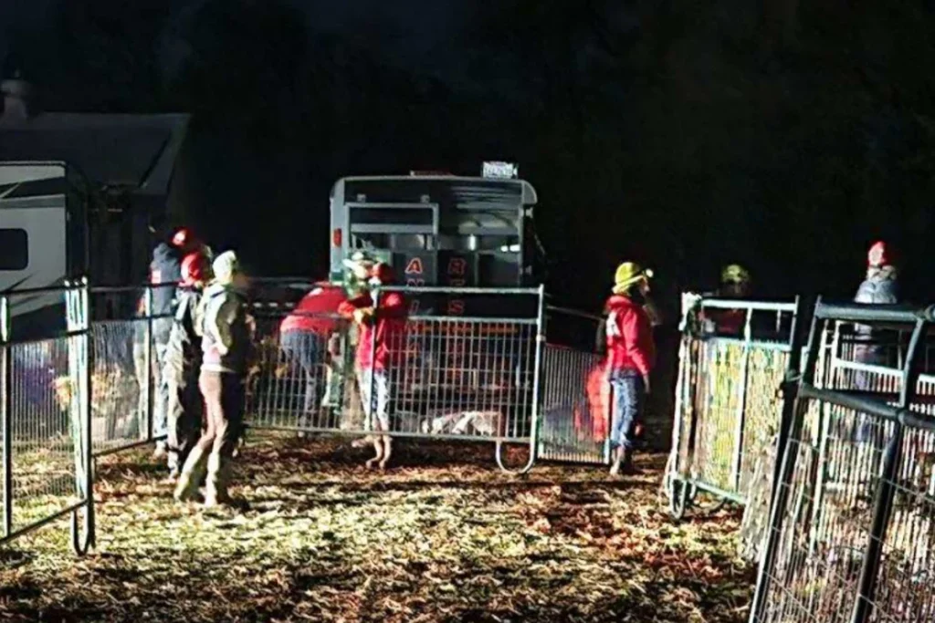 Grass Valley Man Arrested on Eight Felony Counts of Animal Cruelty, Over 200 Neglected Animals Rescued