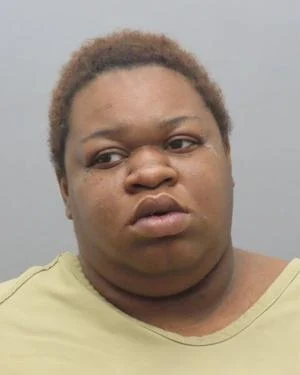 Woman shot, killed in north St. Louis County home, charges say