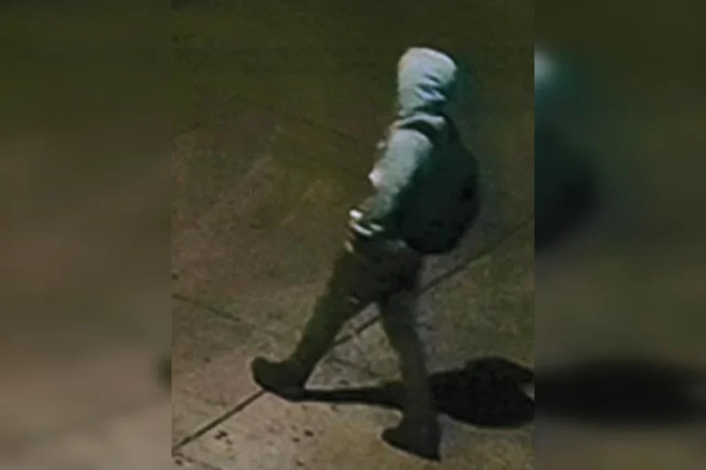 Logan Square Community on Alert After Series of Battery and Attempted Sexual Assault Incidents in Chicago