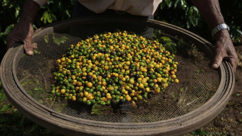 It’s not just Americans who are feeling US tariffs. Five charts show their global impact | CNN Business