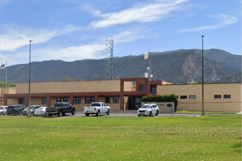 Newcastle Plant Nursery Incident: 19-Year-Old Suspected gang Member Arrested for Attempted Murder and Drug Possession