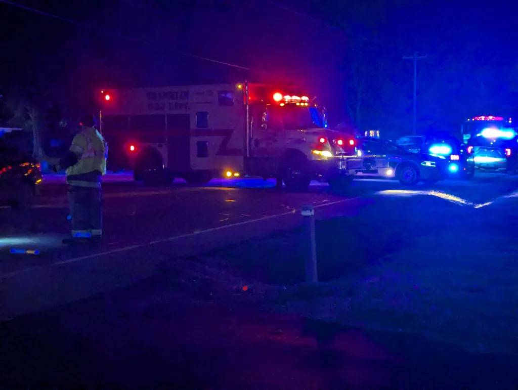 Pedestrian dead after being struck by vehicle; troopers asking for help identifying deceased
